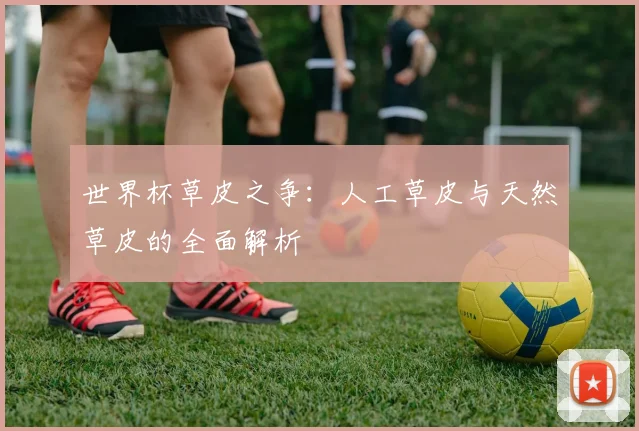 世界杯草皮之争:人工草皮与天然草皮的全面解析
