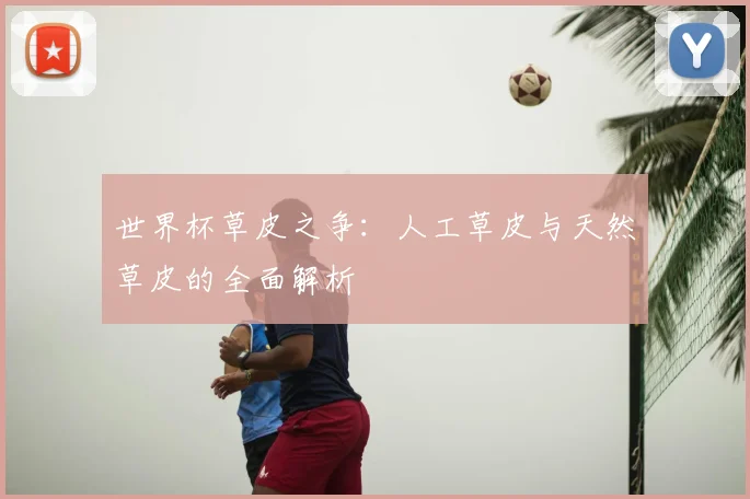 世界杯草皮之争:人工草皮与天然草皮的全面解析